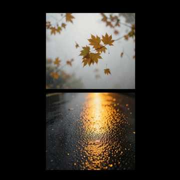 Dj CenturyStyle - Отголоски лета
