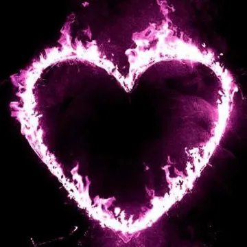 Wild Heart