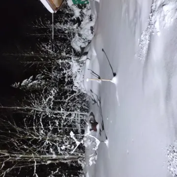 Белым саваном