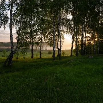 Я ВЕРНУЛСЯ...
