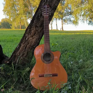 ПОЗДНЯЯ ЛЮБОВЬ