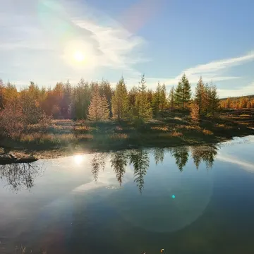 Случайности не случайны