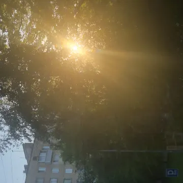 Царица звёзд (перья где-то)