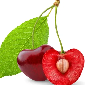 Обложка трека «Вишнёвая косточка  🍒»