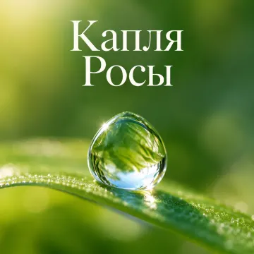 Капля Росы