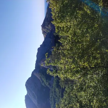 Ялта