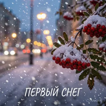 Обложка трека «Первый снег»