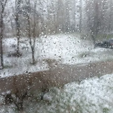 Под дождём