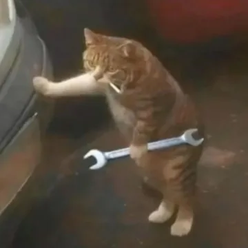 a p n