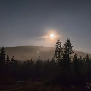 Раф Татарин