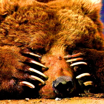 Евгений Сойка